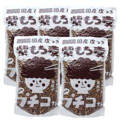 国産 皮つき 紫 もち麦 プチコさん 550g 5袋 ダイシモチ ◎11月値上げ済【02】