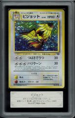 ARS10 ピジョット　ホロ　ポケモンジャングル　Pidgeot　旧裏　旧裏面　ポケモンカード　P002581