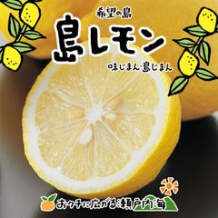 希望の島 ジャンボレモン 4kg 訳あり品 特大(4L以上) 愛媛県 中島産 国産レモン 瀬戸内レモン