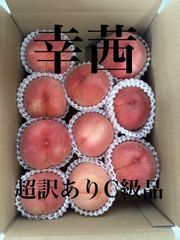 山梨一宮の木のてっぺんで収穫 プレミアムピーチを5個詰めて発送