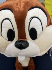 年末セール半額バックで800円、？チップ 被り物