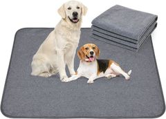 Item thumbnail for item 3dce0ed9-f6c3-4f4b-92f6-f8415e599e4a