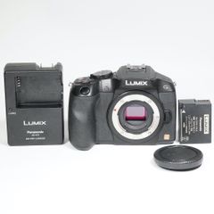 Panasonic LUMIX GH4本体 SmallRigケージ付 おまけ多数 - メルカリ