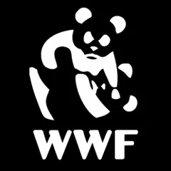 2024年最新】wwf パンダの人気アイテム - メルカリ