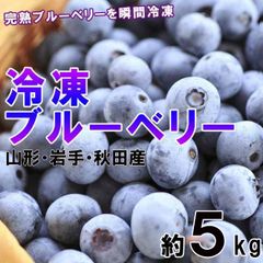 農薬・肥料不使用】山口県産 冷凍ブルーベリー 5kg ハイブッシュ系