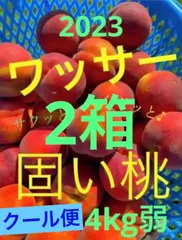 2024年最新】ワッサー 訳ありの人気アイテム - メルカリ