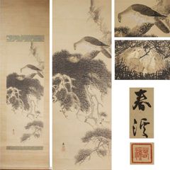 《源･M》古画 春渓 筆 松に鷹(親子)図/軸装・送料無料