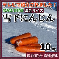 【希少！春限定】雪下にんじん （洗い） 混合サイズ　10kg　北海道真狩村