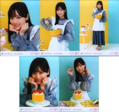 乃木坂46 2024年2月ランダム生写真 山下美月 2024.Valentine 5枚セット
