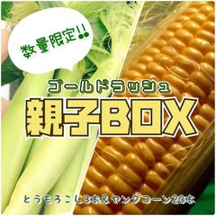 【数量限定/常温】ゴールドラッシュ親子BOX【6月上～中旬発送予定】