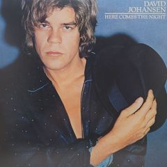 David Johansen / Here Comes The Night レコード