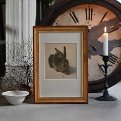 猫の油彩画 油絵 額装絵画 ねこネコCAT ウォールデコ フランス