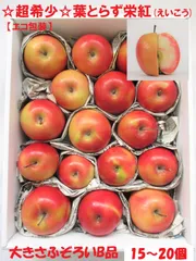 ☆超希少品種☆果肉まで赤～いりんご『葉とらず栄紅』☆B品☆不揃い約2.5kg