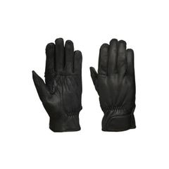 Item thumbnail for item 7e609700-95d2-496f-87b3-b36bb093df16