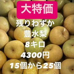 大特価　豊水梨　8キロのサムネイル