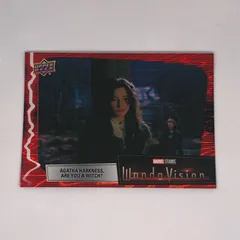 2025年最新】ワンダヴィジョンの人気アイテム - メルカリ