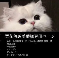 婿様専用ページ 散兵猫ちゃん10cm +放浪者のぬいぐるみチャーム