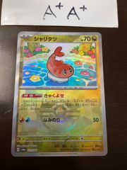 シャリタツ　マスターボールミラー　A+A+