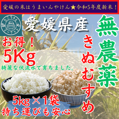 無農薬栽培　令和5年度　新米【玄米・白米選べます】愛媛県産　お米　きぬむすめ　5kg　農薬不使用