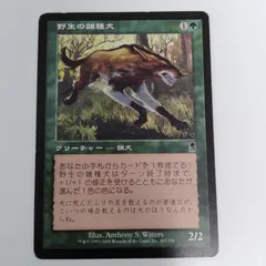 最終 SALE❗️MTG 野生の雑種犬　エラーカード　1枚 野生の雑種犬 [ODY] 【BIGWEB | MTG】日本最大級の激安カード