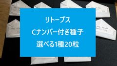コピアポア　KPCLナンバー各種 98種類セット 各５粒ずつ コピアポア KPCLナンバー各種 98種類セット 各5粒ずつ