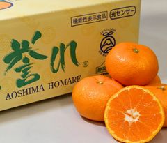 三ケ日みかん『誉れ』 M～Lサイズ  ４㎏のサムネイル