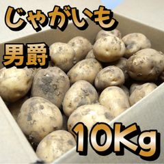 A-STYLE 自家栽培 じゃがいも 男爵芋 10ｋｇ「沖縄発送不可ショップアカウントではゆうゆうメルカリ便で送れないため沖縄への発送は出来かねます、個人アカウントよりご購入頂けましたら発送可能ですので出品いたしましたらそちらよりよろしくお願いいたします。」