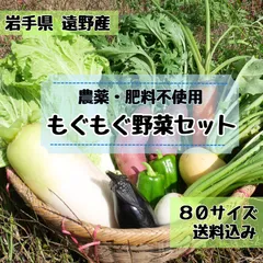 \\農家直送 野菜の味が濃い//野菜セット 野菜詰め合わせ 80サイズ《自然農法 農薬・肥料不使用》