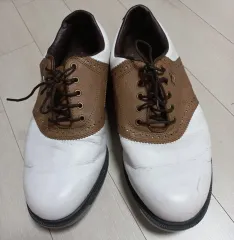 FootJoy(フットジョイ) メンズゴルフシューズ 250