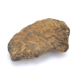 NWAxxx 16.1g 原石 標本 石質 隕石 普通コンドライト No.17