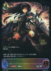 2025年最新】シャドバ エボルヴ フォルテの人気アイテム - メルカリ