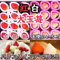 食べ比べ!!紅白極味苺大玉セット【古都華】と【天使のいちご】のギフト仕様一箱づつ バレンタインデー 贈答用 ギフト専用 誕生日プレゼント