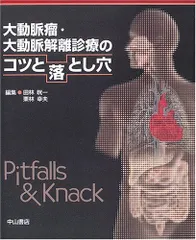 [A01735133]胸部・腹部大動脈瘤の治療〈2001年〉ステントグラフティングを中心に 博昭， 竹中; 健輔， 江里