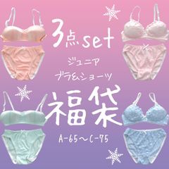 ジュニア ブラ&ショーツ 福袋 上下3点セット ノンワイヤー ジュニア キッズ 女の子 下着 ブラジャー ショーツ 思春期 65cm 70cm 75cm A B C