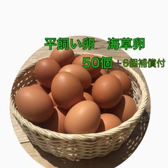 平飼い卵