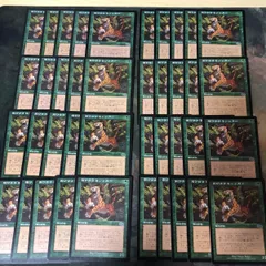 MTG 英語版　プロプレイヤーカード　斎藤友晴　トモハッピー　4枚セット m85011287442_1.jpg?1731252281