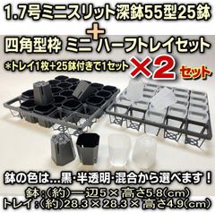 1.7号ミニスリット深鉢55型(黒・半透明クリアー)(スリット鉢)★高機能ミニプラ鉢25鉢＋四角型枠ミニハーフトレイセット×2セット＊多肉植物・塊根植物コーデックス・アガベ・ハオルチア・アデニウム＠フラワーショップ江口