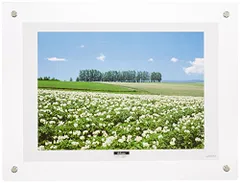 【新品・5営業日で発送】ナカバヤシ アクリル製ピクチャーフレーム壁掛けタイプA4判 フ-ACH-A4 (ACH-A4)