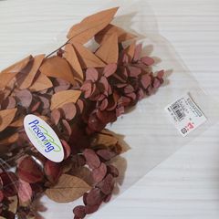 大地農園 ユーカリ・プリザーブド カラーミックス 新品1束