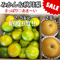 ラスト２箱／あきづき梨 みかん 熊本県産 ミカン糖度９度 「なし ミカン」 フルーツ 果物 秋の果物セット 食べ比べ ジューシー