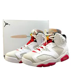 28cm NIKE Air Jordan 6 Neutral Grey/Hare CT8529-062