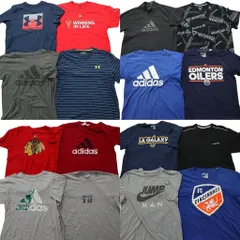 古着卸 まとめ売り スポーツブランドMIX 半袖Tシャツ 16枚セット (メンズ L ) アディダス リーボック 中古 古着 NA2836