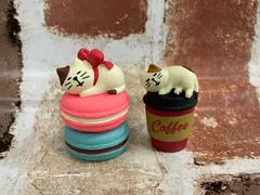 concombre マカロンとコーヒーセット