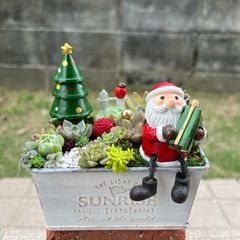 ♡そのまま飾れる♡リメ鉢♬ハロウィンの多肉植物寄せ植え