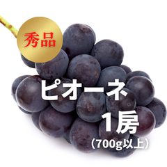ぶどう　ピオーネ　秀品　1房　700g以上