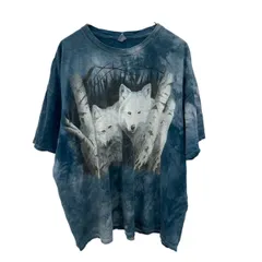 GILDAN 半袖プリントTシャツ 2XL ブルー系 タイダイ ギルダン プルオーバー アニマルプリント 古着卸 アメリカ仕入 a705-6453