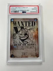 2025年最新】ワンピース 手配書 psa10の人気アイテム - メルカリ