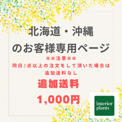 ※※北海道・沖縄へ発送のお客様専用ページ※※