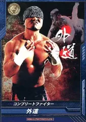 【中古】キング オブ プロレスリング BT01-029[R]：[コード保証無し]外道