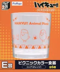 【中古】マグカップ･湯のみ ヒナガラス(日向翔陽)＆カゲガラス(影山飛雄) コップ ピクニックカラー食器 「みんなのくじ アニメ『ハイキュー!!』 アニマルピクニック」 E賞